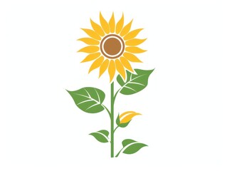 sunflower logo illustration, white background