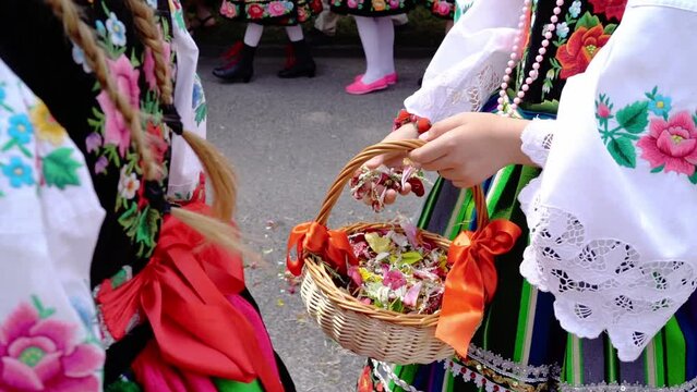 Łowicz Corpus Christi celebration. Young girls in traditional Masovian costumes throwing flower petals during religious procession. Slow motion video. Polish folklore