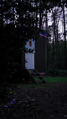 Shepards hut in the woods in the dark