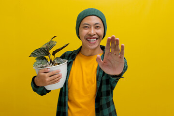 Asian man holds up a healthy Pin-stripe Calathea (Calathea ornata) houseplant in a white pot and...