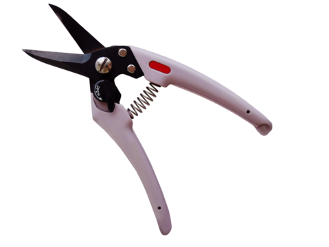 Pink color bypass pruning shears, garden tools equipment or agricultural implement classic secateurs, element on transparent background, isolated cutout