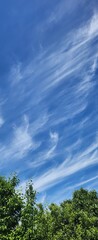 blue sky and grass