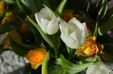 White tulips and yellow roses stand in a glass vase