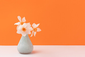 Vase with bouquet of white narcissus flowers in front of yellow background. Natural concept.