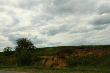 Obraz premium A grassy area with trees and a cloudy sky