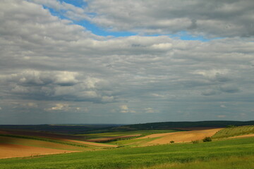 A field with a body of water in the distance