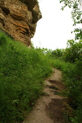 A dirt path through a grassy area