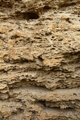 A close-up of some rocks