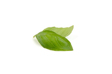 Fresh organic basil leaves, close-up, isolated on white background.