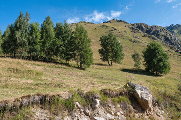 landscape in the mountains