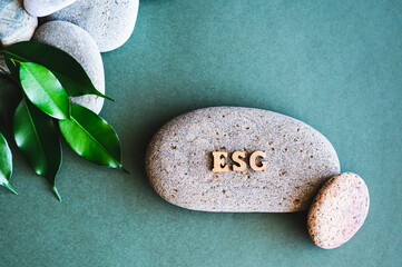 ESG concept wooden letters, stones and leaves  on a green background top view