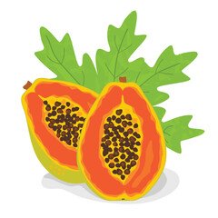 Cartoon card with papaya fruit and leaf.Exotic fruit in cross section isolated on white background.Colorful print on fabric and paper.Vector design for use in background,banner template,stickers,cover