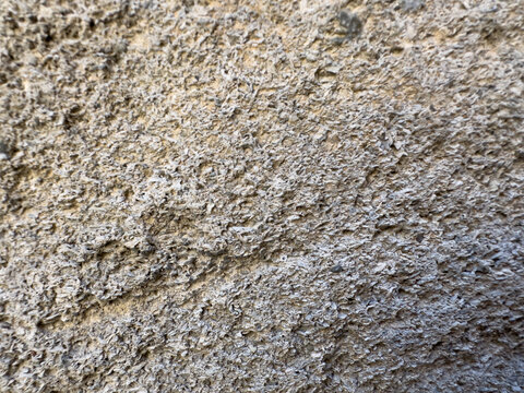 rock close up texture