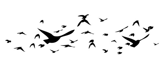 Flying birds silhouette flock. Not AI, Free birds abstraction . Vector illustration.