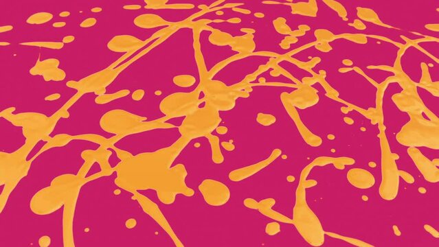 Paints Splat Making Vibrant Pattern
