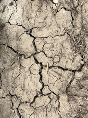 A close up of a cracked and dried out tree trunk