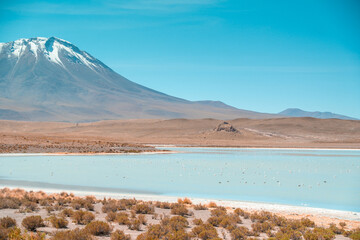 Smelly Lake in Bolivia, near Uyuni salt flat -salar de Uyuni- with lots of flamingo