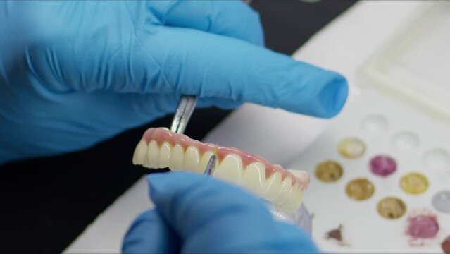 Zirconium porcelain and implant studies in the Dental Laboratory