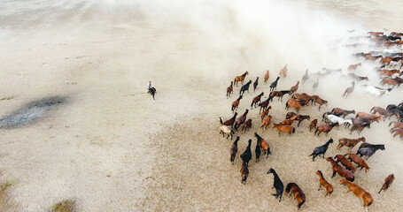 A herd of horses is running across a sandy field. aerial view of a herd of horses