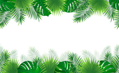 Amazon rainforest tropical leaves seamless pattern. vector illustration. Jungle foliage template border frame. Tropic plants repeated banner. Green backdrop with coconut palm leaf. Summer background.