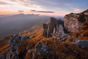 Fotobehang Chocoladebruin Carpathians, Ukraine, Europe, summer blooming pink flowers on background mountains, floral summer landscape   © Rushvol