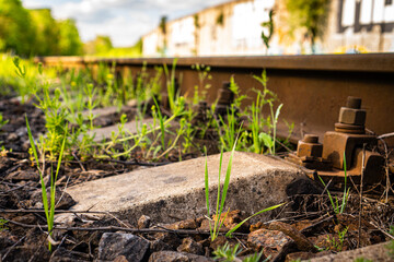 Grass growing on railway tracks