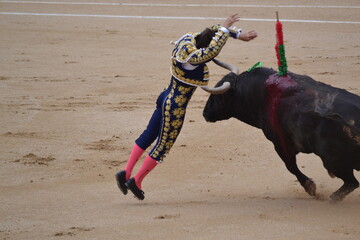 Matador with banderillas and a bull in the bullring. Spanish traditions