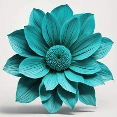 beautiful turquoise flower
