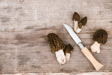 Morchella mushrooms and knife on wooden background flat lay. True morels. Harvesting Morchella...