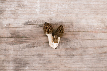 Morchella mushrooms on rustic wooden background flat lay. Gathering true morels, copy space....