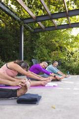 Diverse senior female friends practicing yoga outdoors, wearing casual sportswear, copy space
