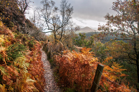  Great Sugar Loaf mountain view from Crone wood