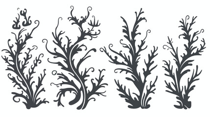 Seaweed kelp or spirulina in monochrome sketch styl