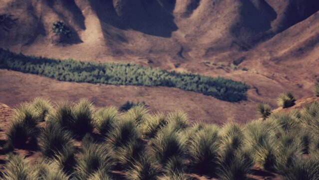 Red Rock Canyon National Park