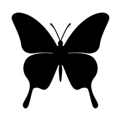 Butterfly black silhouette icon. Insect symbol. Vector illustration, EPS10