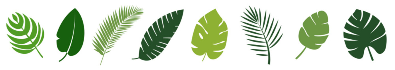 Set of different type exotic leaves. Vector illustration EPS10