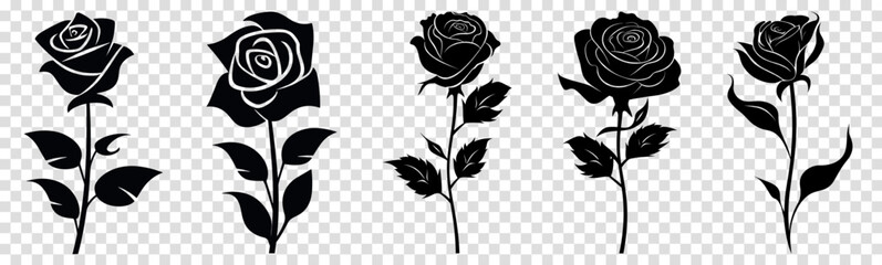 Set of roses with leaves. Vector illustration isolated on transparent background