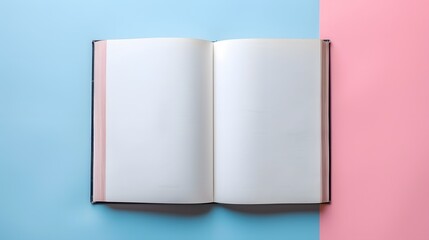 Open book, blank page, top down view, flat background