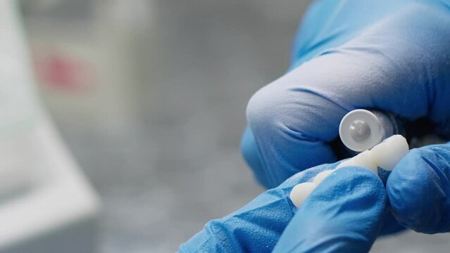 Zirconium porcelain and implant studies in the Dental Laboratory