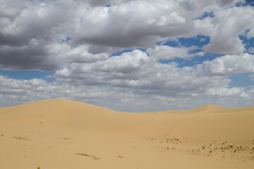 Tuyesu dunes landscape, Senek, Kazakhstan