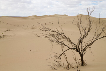 Tuyesu dunes landscape, Senek, Kazakhstan