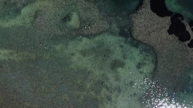 Clear turquoise emerald water of Mistra bay, Malta with corrals and rocks and Posidonia patches drone view. High quality FullHD footage