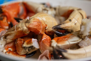 Bunch of Stone Crab Claws