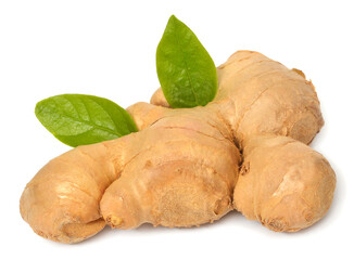 Fresh ginger root with leaves isolated on white background