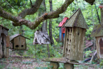 wooden bird house