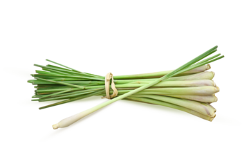 fresh lemongrass  texture in cooking concept and herbal food on transparent.