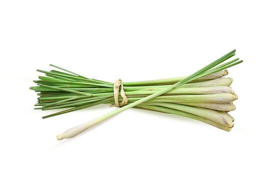 fresh lemongrass  texture in cooking concept and herbal food on transparent.