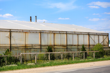 A large greenhouse with a lot of plants and a fence