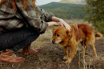 Woman enjoying nature with her furry friend in a mountainous field, petting the dog in the sunlight