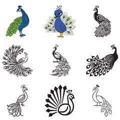set of peacock vector designs, show-off, prance, peafowl, fop, braggart, strut, swaggerer, cartoon, black, duck, domestic, design, cute, bald, background, beautiful, wildlife, wilderness, stand, scrap
